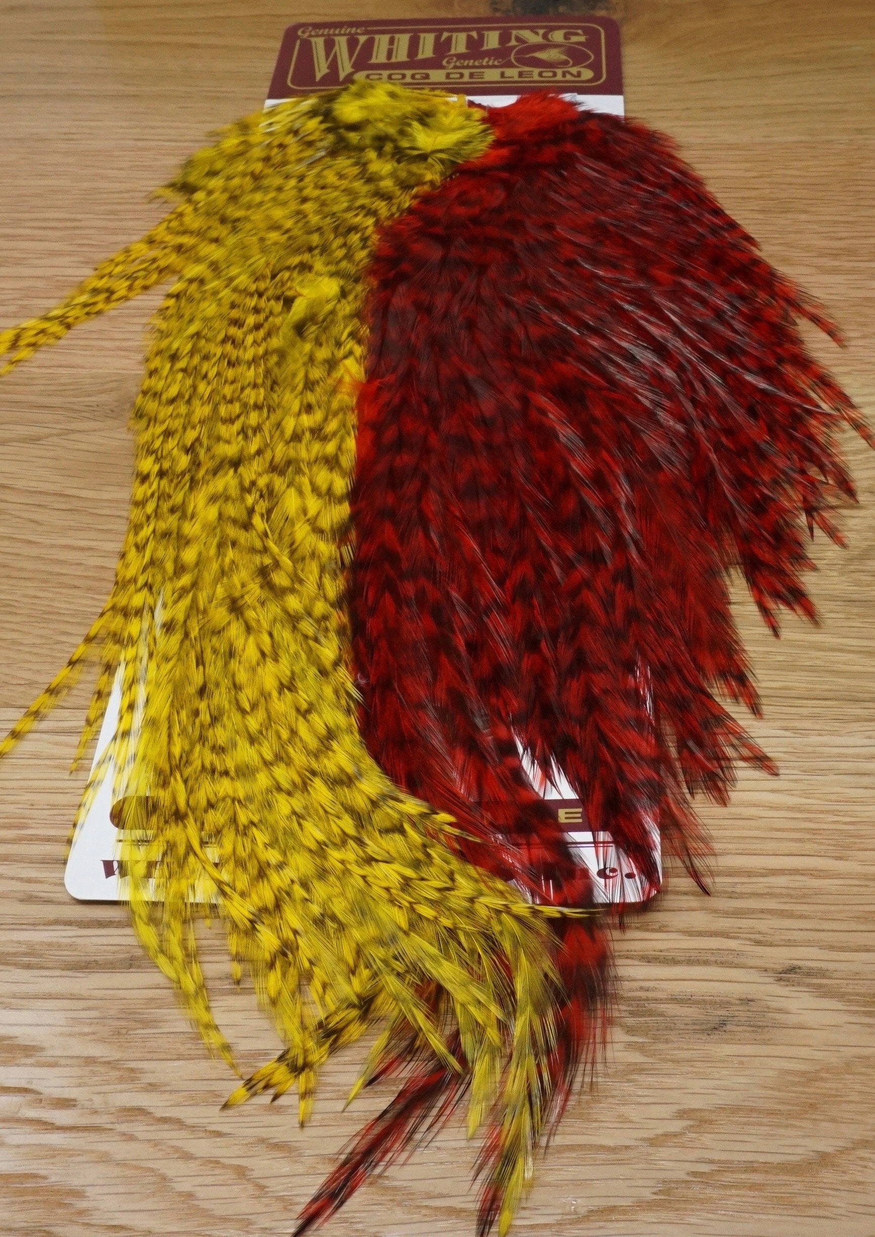 Whiting CDL Predator Pack