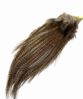Whiting Coq De Leon Euro Nymph Tailing Pack