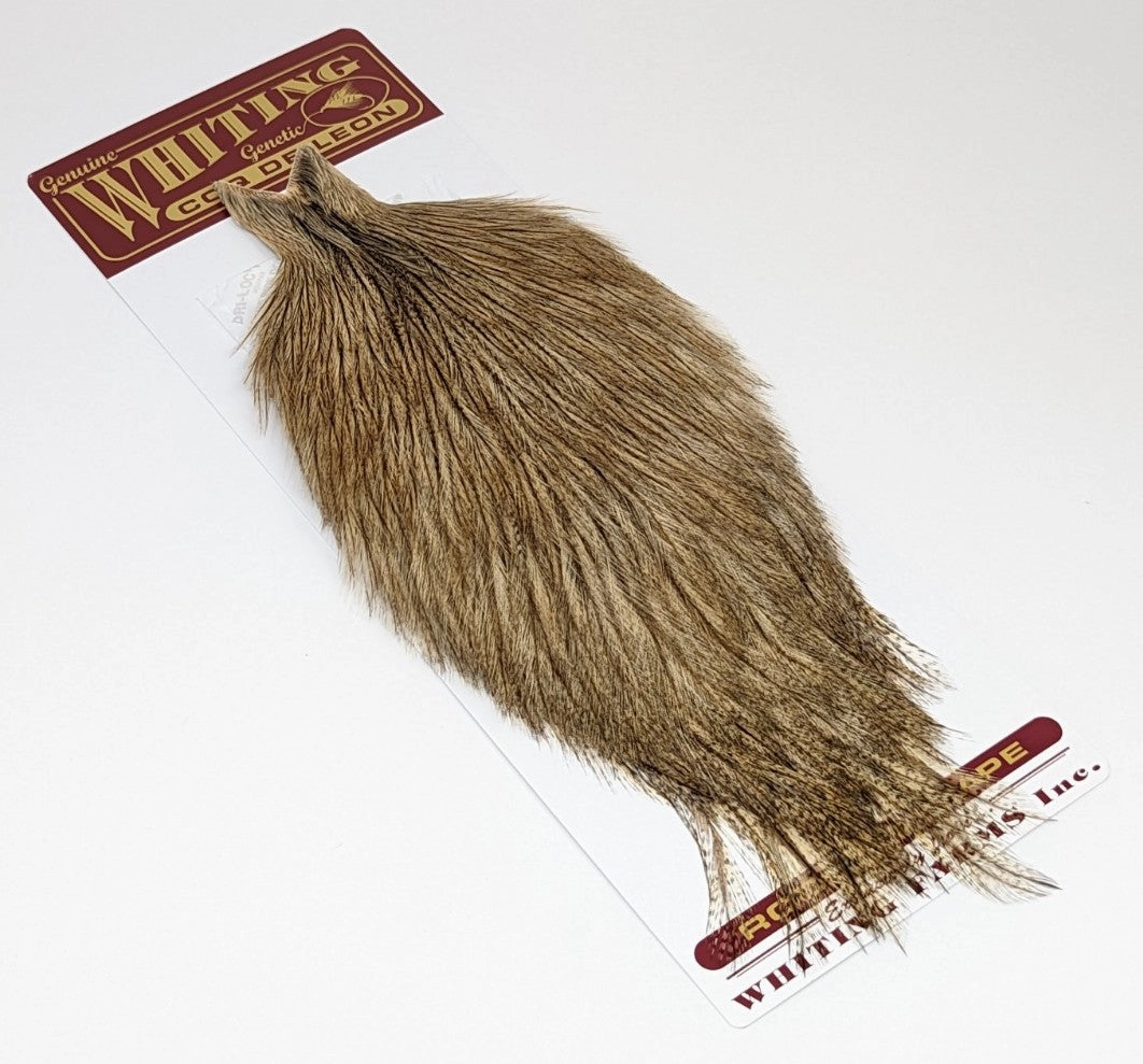 Whiting Coq De Leon Rooster Cape