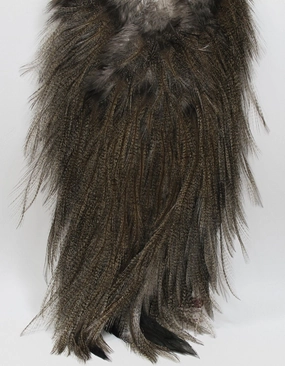Whiting Coq de Leon Silver Saddle