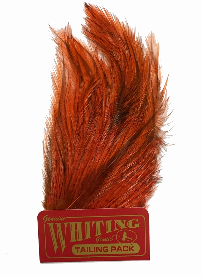 Whiting Coq de Leon Tailing Pack - Badger Dyed