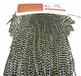 Whiting Dry Fly Saddle Hackle - Pro Grade