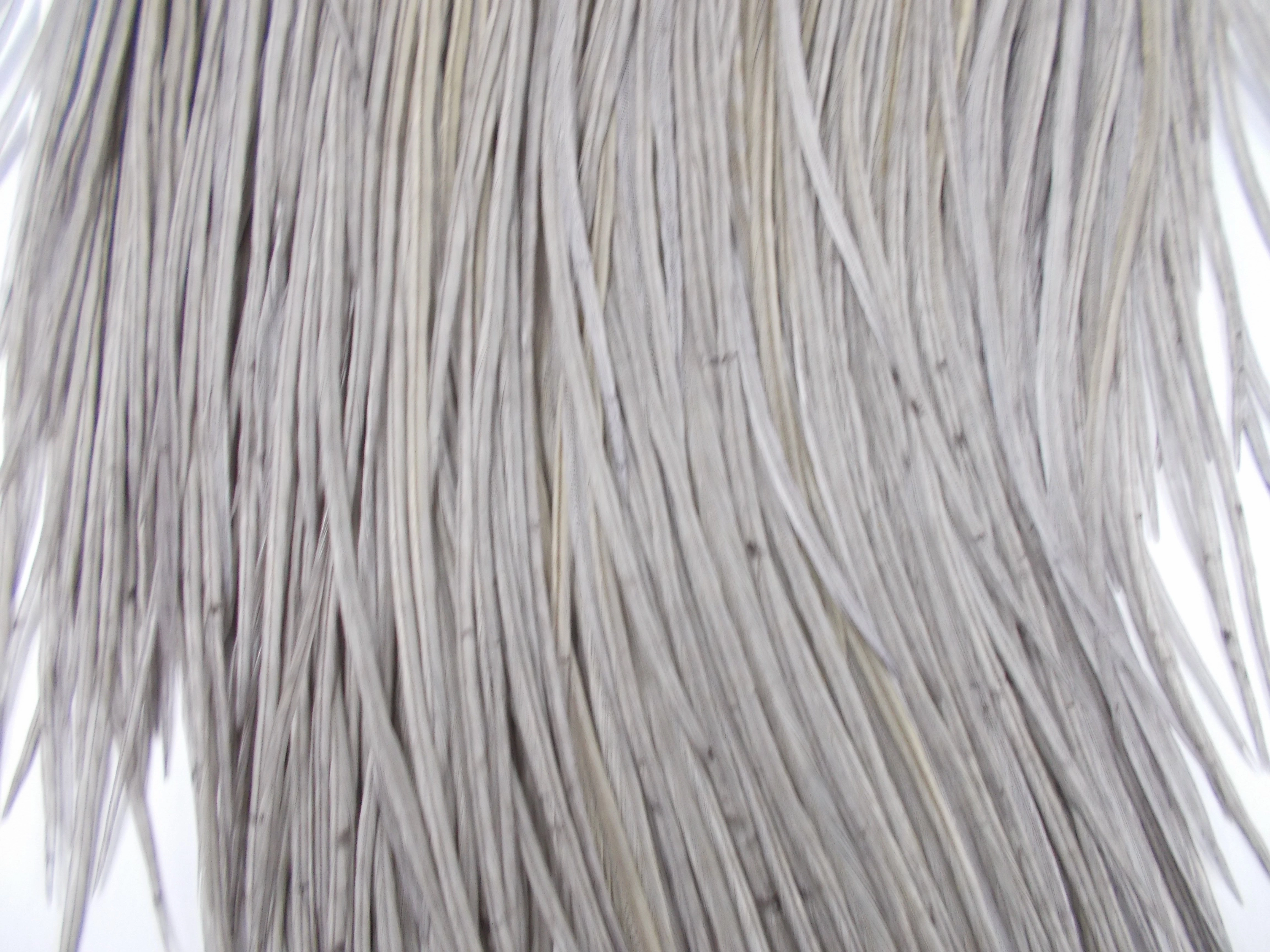 Whiting Dry Fly Saddle Hackle - Pro Grade