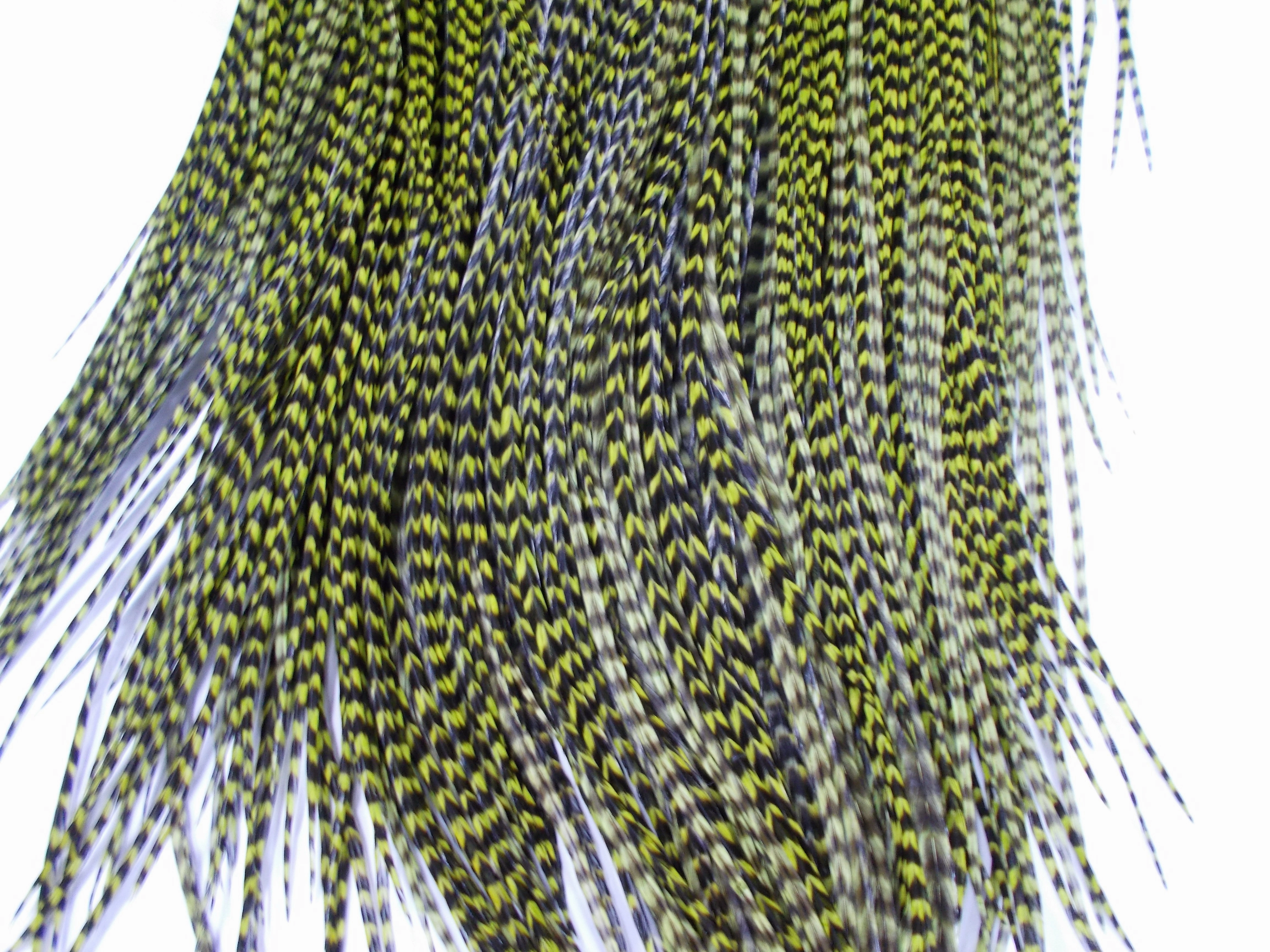 Whiting Dry Fly Saddle Hackle - Pro Grade