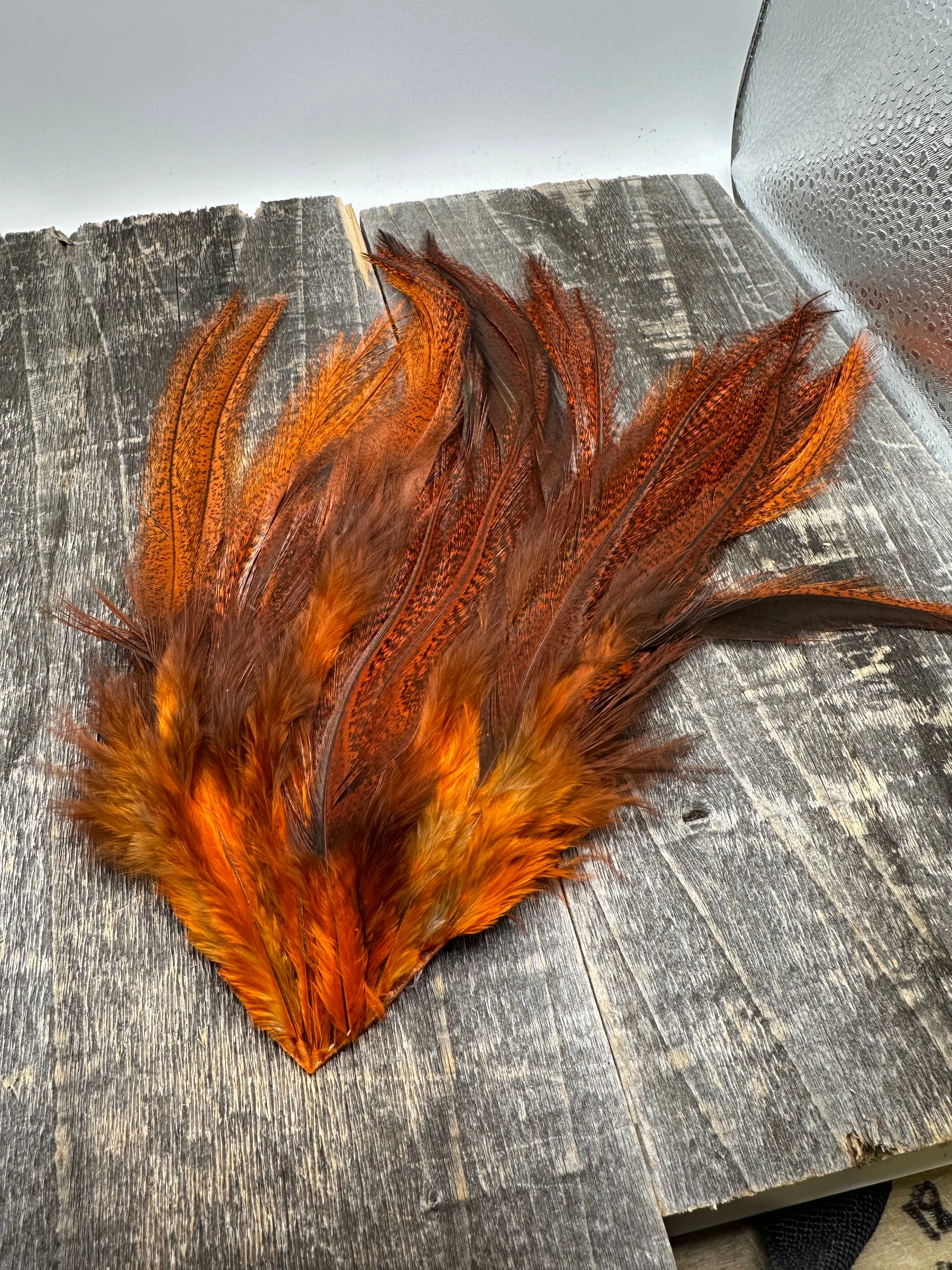 Whiting Farms CDL Schlappen Pack