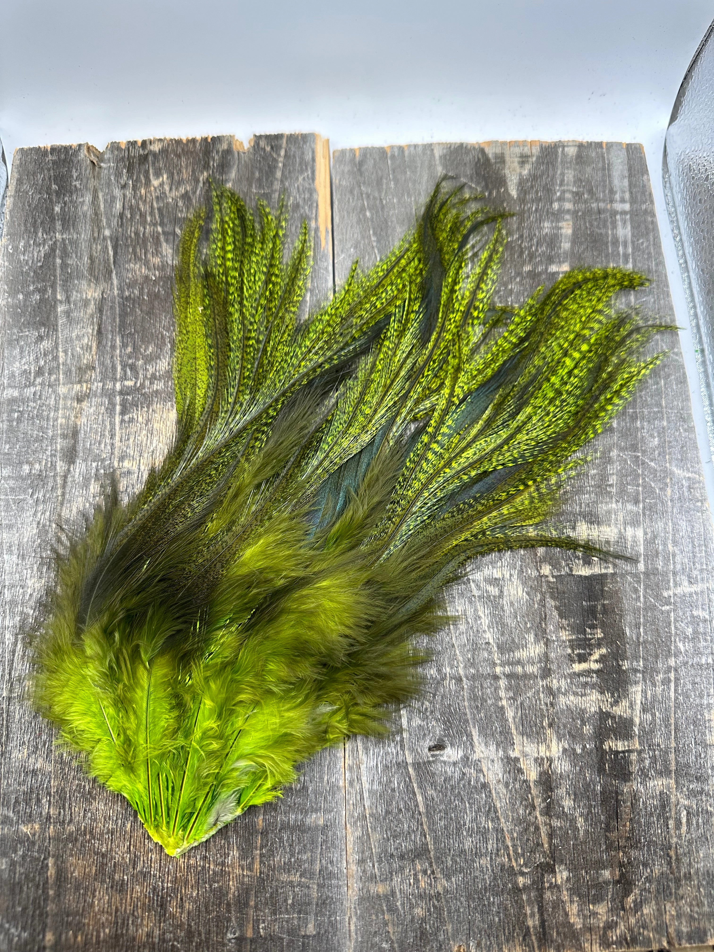 Whiting Farms CDL Schlappen Pack