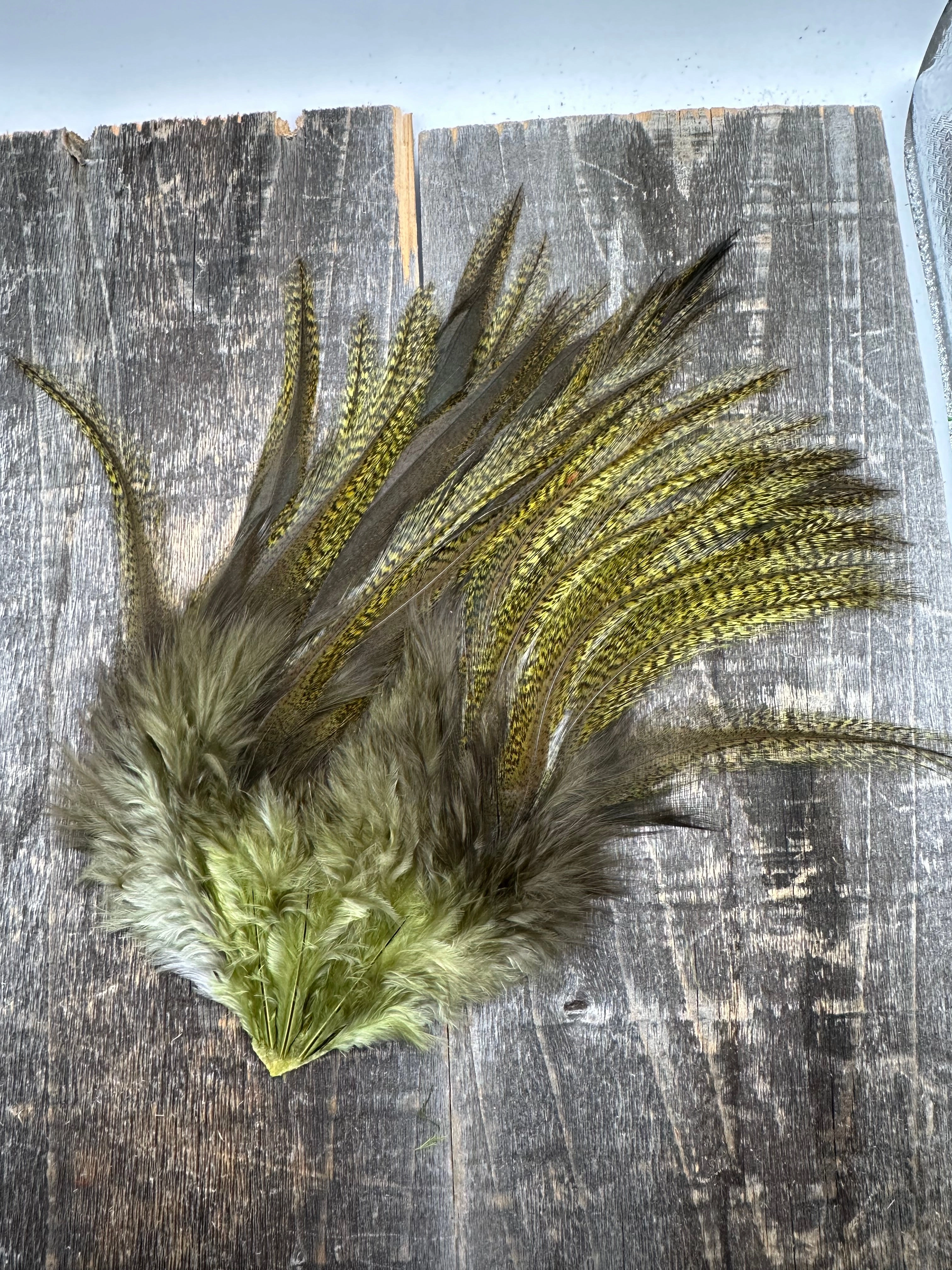 Whiting Farms CDL Schlappen Pack