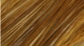 Whiting Hebert Miner Dry Fly 1/2 Hackle Cape Bronze Grade