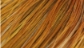 Whiting Hebert Miner Dry Fly 1/2 Hackle Cape Bronze Grade