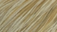 Whiting Hebert Miner Dry Fly 1/2 Hackle Cape Bronze Grade