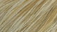 Whiting Hebert Miner Dry Fly Cape Bronze Grade