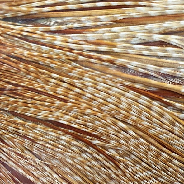 Whiting Hebert Miner Dry Fly Cape Bronze Grade