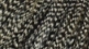 Whiting Hebert Miner Dry Fly Cape Bronze Grade