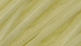 Whiting Hebert Miner Dry Fly Cape Bronze Grade