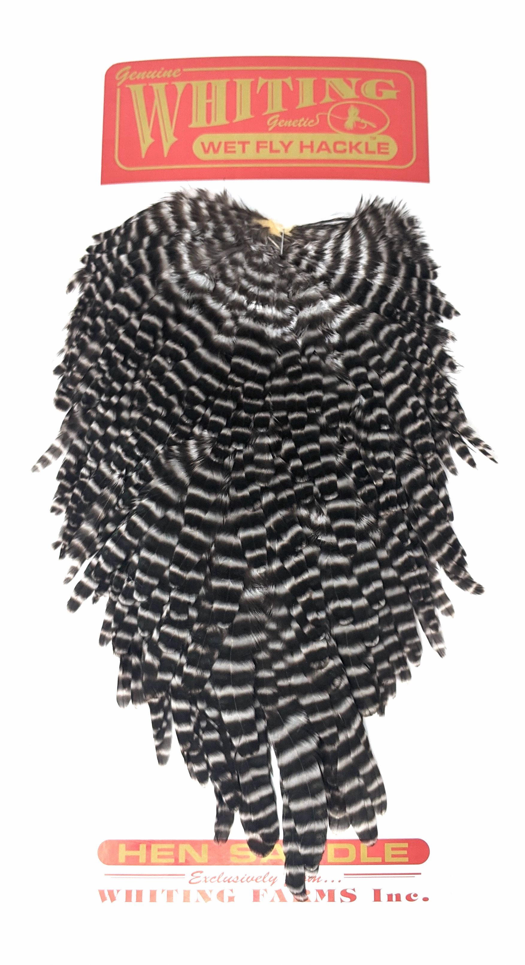 Whiting Hen Saddle