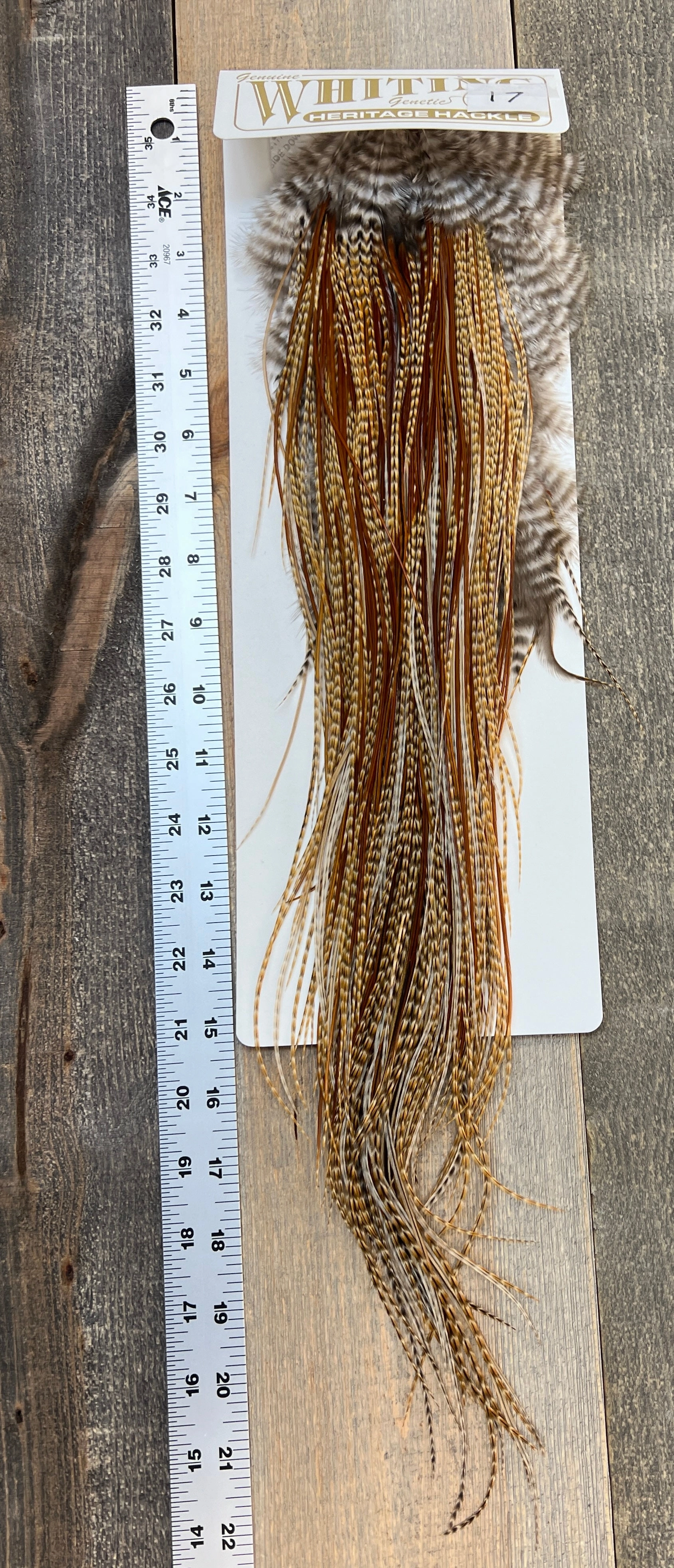 Whiting Heritage Saddle Grade #3 - #17