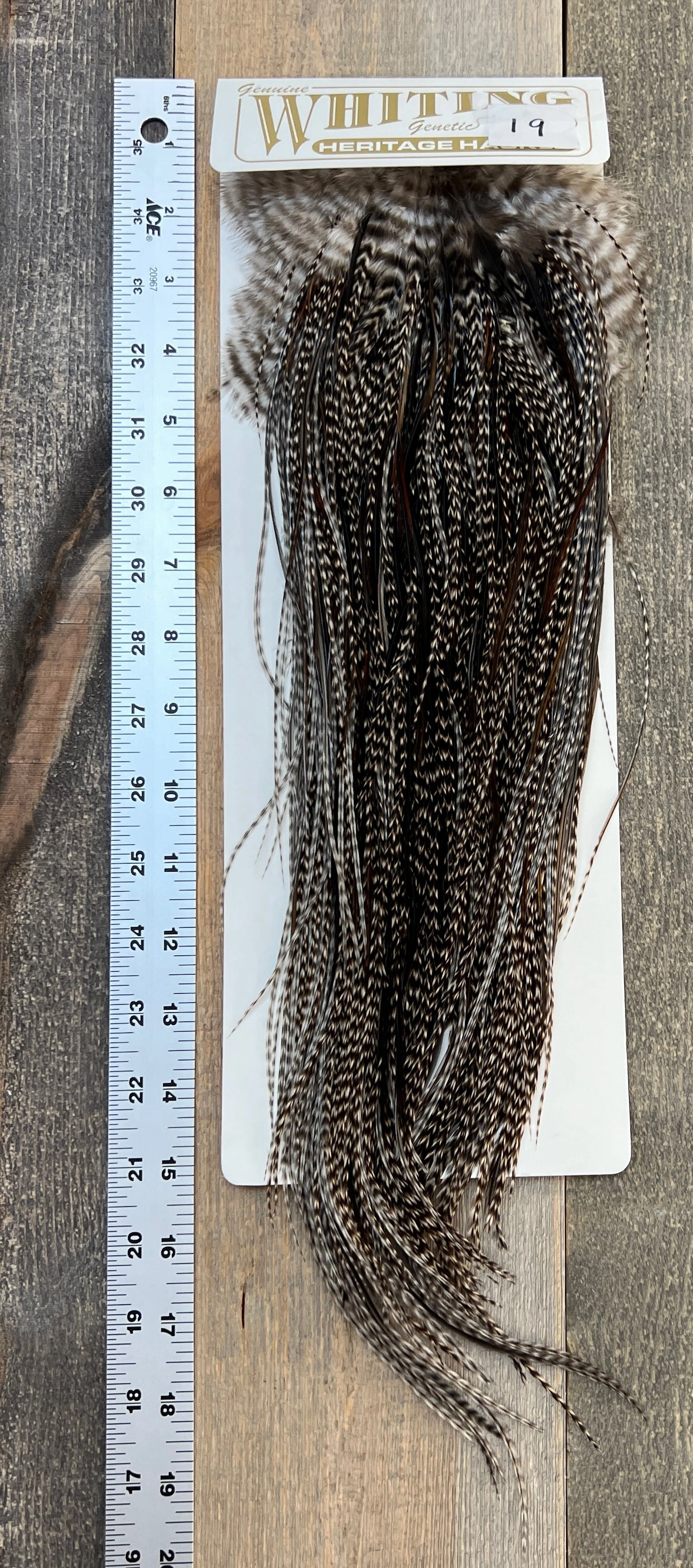 Whiting Heritage Saddle Grade #3 - #19