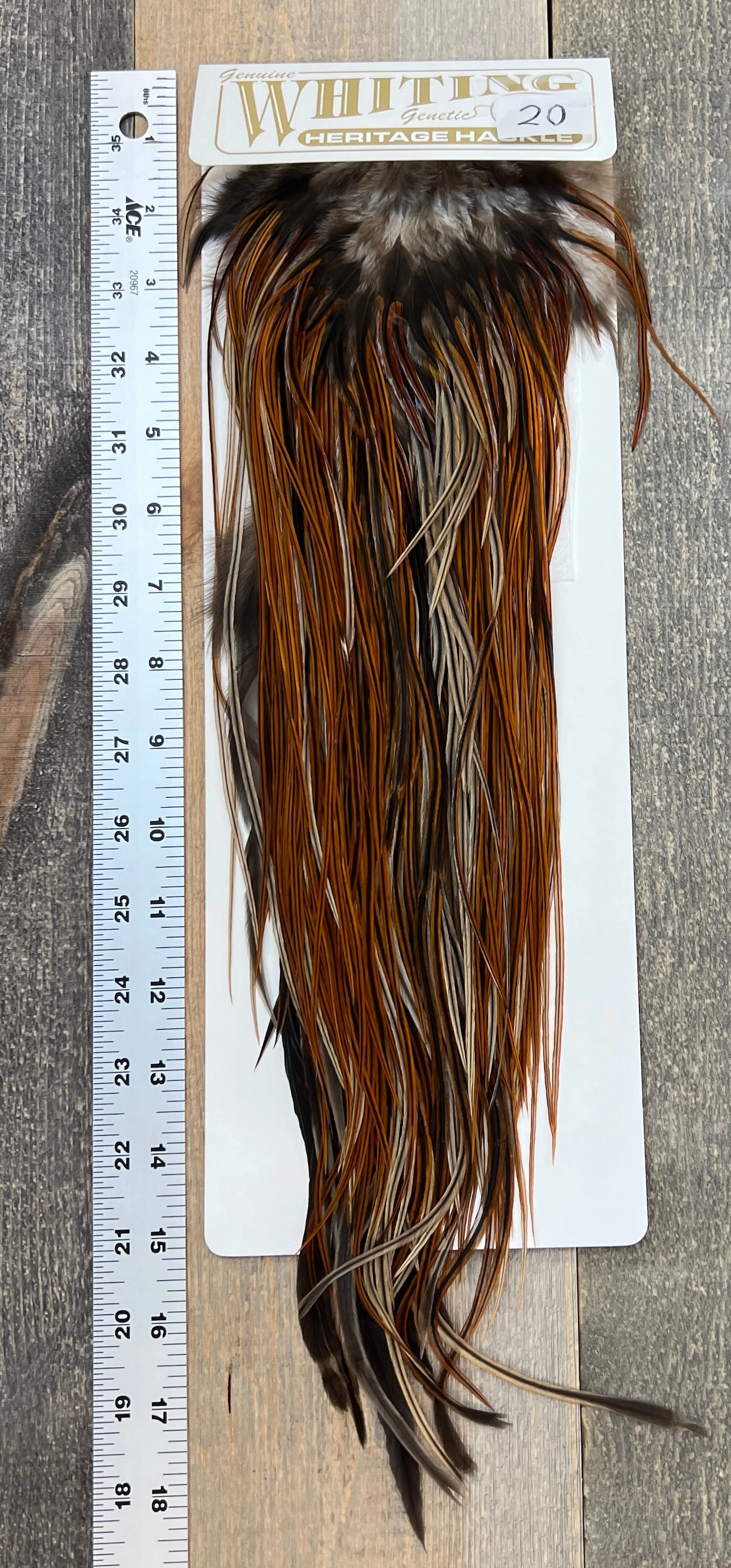 Whiting Heritage Saddle Grade #3 - #20