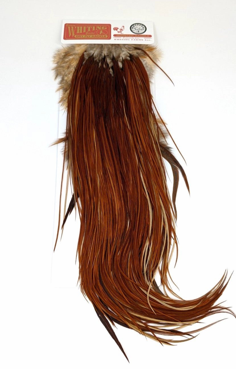 Whiting Silver Grade Saddle