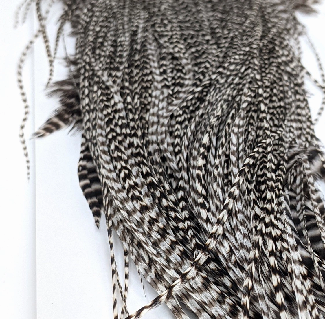 Whiting Silver Grade Saddle