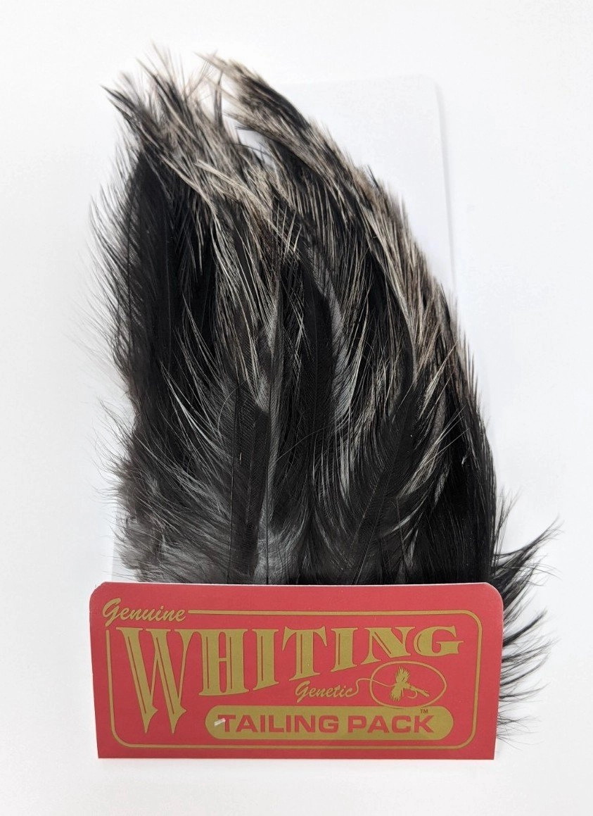 Whiting Tailing Pack Coq De Leon