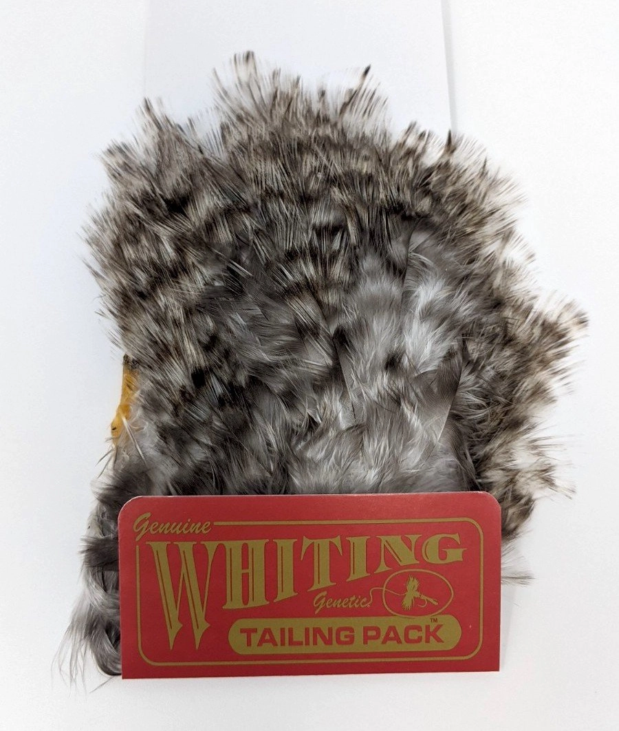Whiting Tailing Pack Coq De Leon