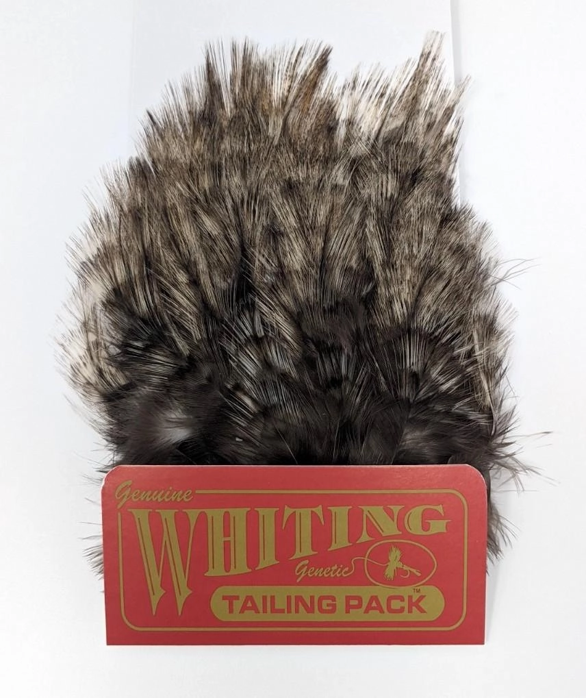 Whiting Tailing Pack Coq De Leon