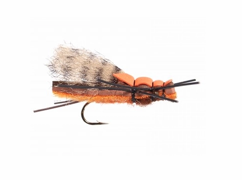 YFG Franken' Salmon 8