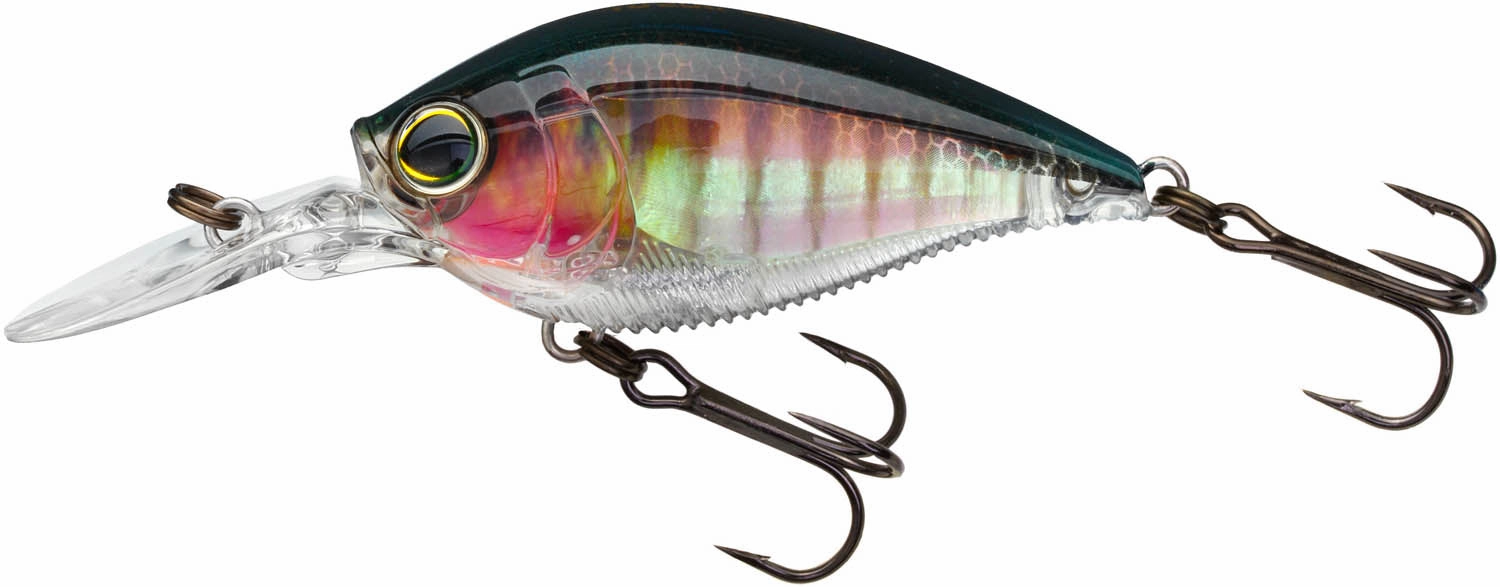 Yo-Zuri 3DB Crank 1.5 MR Medium Diving Crankbait