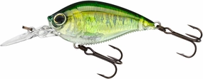 Yo-Zuri 3DB Crank 1.5 MR Medium Diving Crankbait